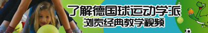 叉叉逼91了解德国球运动学派，浏览经典教学视频。